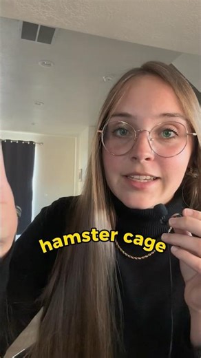 Buying a Hamster Cage on Amazon?