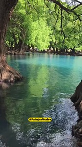 El Parque Nacional Lago de Camecuaro en Michoacán. #michoacan #camecuaro #lagos #lagodecamecuaro | Paisajes México