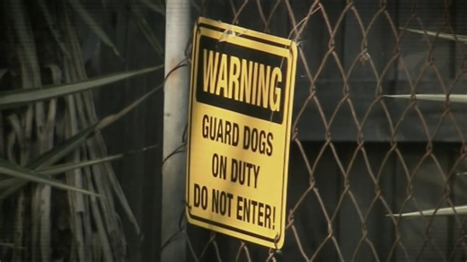 Guard dogs menaced worker before meter reader killed