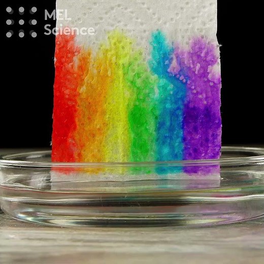 How to Grow a Rainbow at Home! 🌈 Amazing Color Science Experiment #Shorts