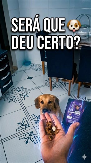Técnica pra dar remédio pro seu dog 🤣🐶 SE INSCREVA! 🙌🏻