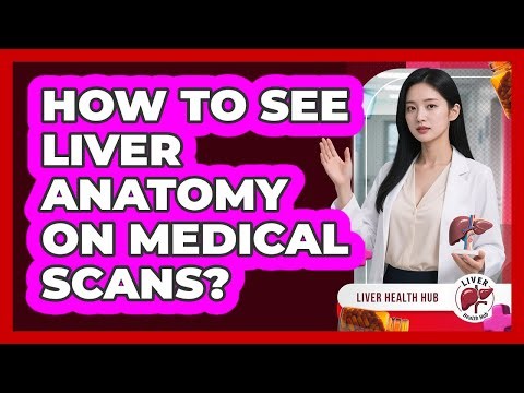 How To See Liver Anatomy On Medical Scans? - Liver Health Hub