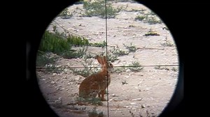 11K views · 92 reactions | High powered pellet guns, iScopes and Texas Jack Rabbits! Doesn't get much more fun that this! | IScope Optics | Facebook