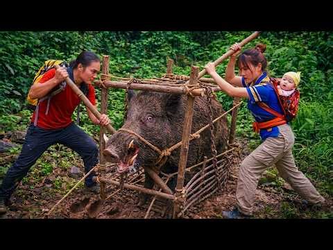 Tracking Wild Boars in Deep Forest… The Handmade Trap Actually Worked!