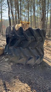 127K views · 2.7K reactions | Eva Joy has been having the best Spring...