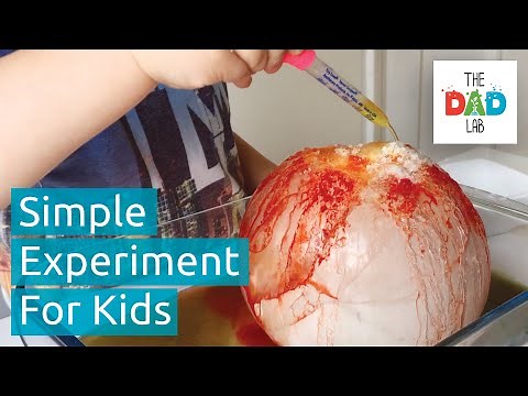 Melting Ice With Salt | Simple Science for Kids