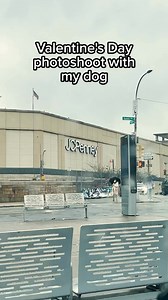 36K views · 1.2K reactions | Mall photoshoots are the best! | Maxine the Fluffy Corgi | Facebook