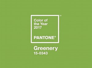 pantone reveals the color of the year for 2017