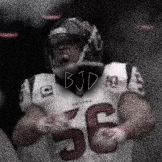 Brian Cushing: NFL Linebacker Highlights and Edits