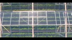 200 reactions · 18 shares | This glass greenhouse and hydroponics growing system is customizable to suit your planting needs.  ➡ Contact the supplier for more information: https://huayiag.en.made-in-china.com/product/LwRagikuqEtW/China-Venlo-Type-Galvanized-Structure-Automatic-Multi-Span-Tempered-Glass-Greenhouse-with-Hydroponics-Growing-System.html?utm_source=facebook&utm_medium=free&utm_campaign=20210813-2-greenhouse #greenhouse #glasshouse | Made-in-China.com | Facebook