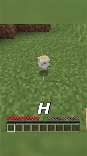 Minecraft But I Can’t Pick Up The Letter H