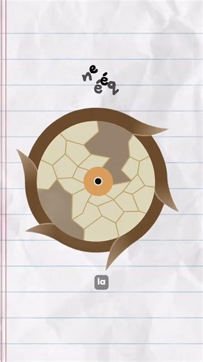 Ce que personne ne te dis sur la porosité 🤯