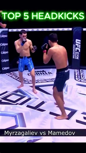 These Headkick Knockouts Are BRUTAL🦵