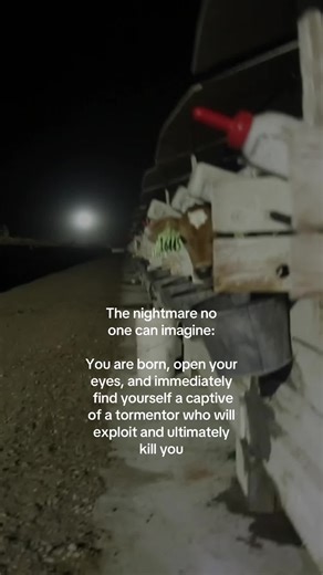 The Reality of Dairy and Meat Industries Exploitation