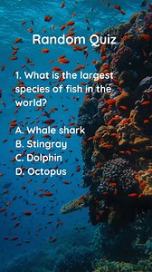 Get ready to challenge your intellect! Our quiz is here to put your smarts to the test. Can you handle it? #learningadventures #poweroflearning #reelsfb #reelsviral #quizinstagram #education #pubquiz #fyp #quiznight #knowledge #facts #quiz #QuizTime #Quizzes #trivia #trivianight #TriviaTime #TriviaTuesday #TriviaGame #factsdaily #factsonly #fact #factsoflife | Clever & Wise Quiz