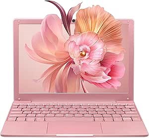 BINTEC 10.1 inch Ultra-Thin Portable Mini Laptop,Celeron N4020 Processor (up to 2.8Ghz), 8GB RAM DDR4,Weight only About 0.8Kg,Built-in Webcam, WiFi, Easy to Carry (Rose Gold, 8G+256GB SSD)
