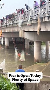 Anyone know what is going on in this video? This was sent in by pier crew and we have no backstory. Looks like they are pulling in some decent fish though and for as crazy as it looks they all have good cast net form. | FishingPiers.Info