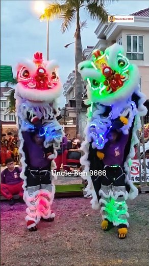 #農曆新年传统舞狮表演