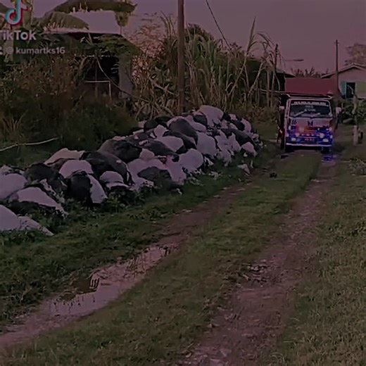 🚀🚀💙💙💙🚚🚚#isuzunhr #isuzunlrpro #6671 #drebamuda