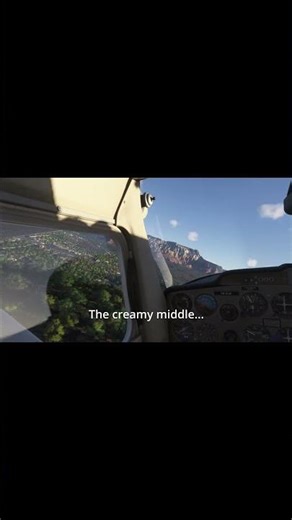 MSFS2024 Beginner Handling Explained