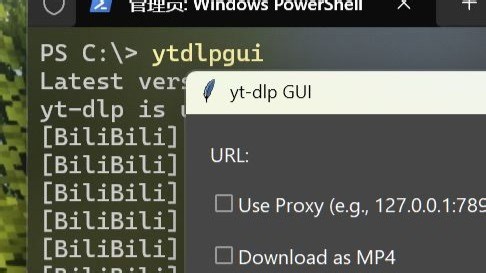 我做了个小软件，下载B站和油管视频能更方便点 ： ytdlp GUI