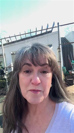 Troubleshooting Common Household Issues: Car and Furnace Problems