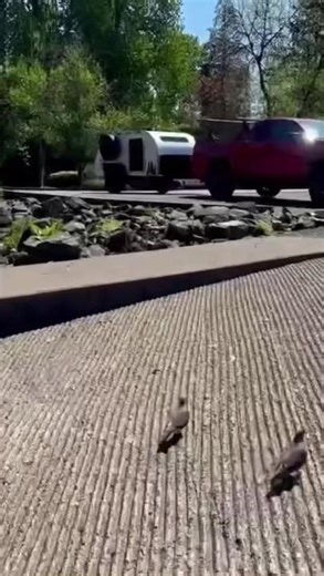 From design to implementation🙌🏻#camping #campinglife #fyp #viral #fypシ゚viral #rvtiktok #campinglifetk #campertrailer #trailerbuilds #teardroptrailer #rvdesign #camperlover #rvliving365