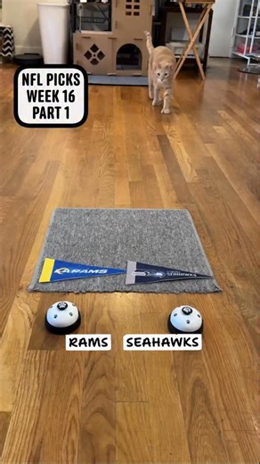 Simba Lion Horste on Instagram: "Here’s part 1 of my Week 16 picks #NFL #nflpicks #SimbaWithTheThumbs #catpicks #sportscomedy #catsofinstagram #detroitlions"