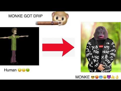 How to become monke