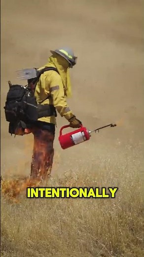 Fighting Fire with Fire: A Surprising Yet Effective Method!