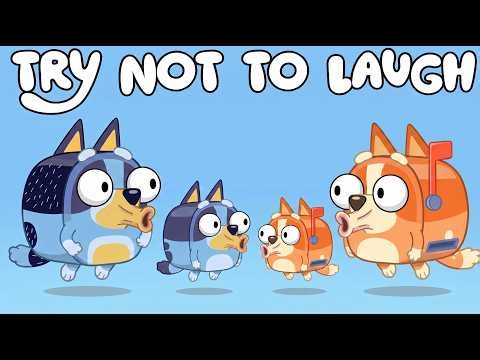 BLUEY [YTP] - TRY NOT TO LAUGH 😂 BIG GIGGLES💀