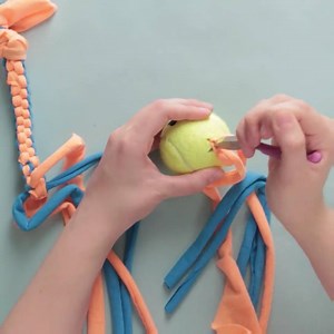 1.1M views · 1.8K reactions | My baby Sylar loves them... And I know your dog, cat, rat, will love this tutorial! Also, it can be pretty good with nice colors... Enjoy! | Sylar Pouchie & Co | Facebook