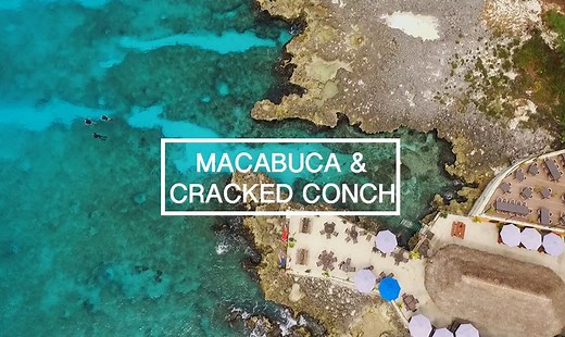 One of the best shore dives on island, all-you-can-eat BBQ's, and oceanside fine-dining in one place- Macabuca & Cracked Conch in West Bay have it all. | This is Cayman