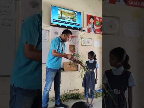 Fibrous root with example #governmentschool #education #biology #science