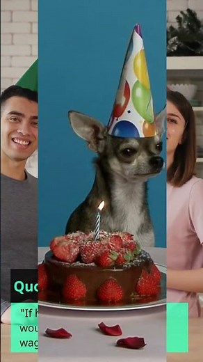 5 PAWSOME Dog Birthday Quotes To Make Them WAG Their Tails!