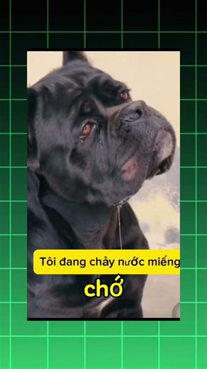 Cài tóc thịt gà