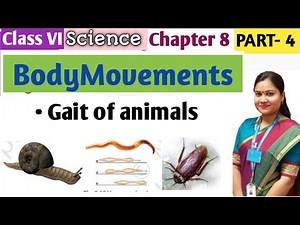 Body Movements Chapter 8 Class 6 /Part 4/ Gait of Animals Explained | Class 6 Science Chapter 8