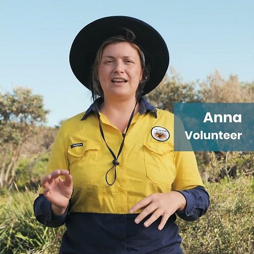 Pathways through volunteering with NSW National Parks and Wildlife Service | #nswparks