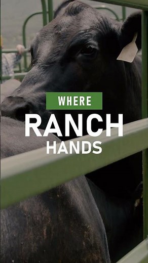 🐎🐂 Power. Precision. Powder River. 🟩