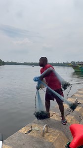 113K views · 1.2K reactions | Traditional Cast Net Fishing – Mullet & Catfish Catch of the Day! #CastNetFishing #HarbourFishing #MulletFish #CatfishCatch #TraditionalFishing | Kadal Raasa Fishing | Facebook