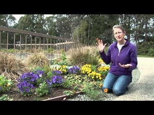 Pollinator gardens - Citizen Science: Bee curious!