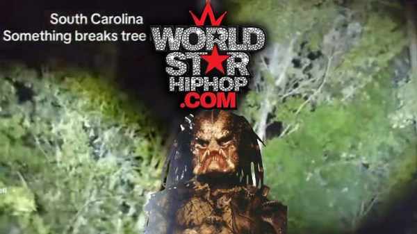 Man Films Massive, Unseen Creature Snapping Tree Limbs At Night In South Carolina!