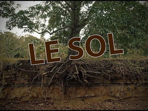 PEDAGO - Le sol