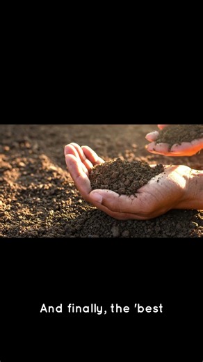 I Wonder Types of Soil 🌱