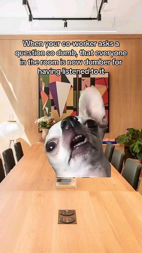 114 reactions · 13 shares | ✨When your co-worker asks a question so...