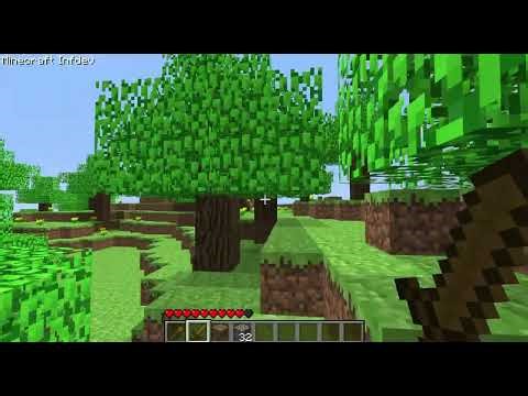 minecraft inf-20100624
