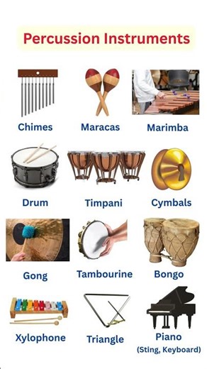 Percussion Instruments