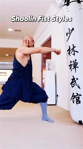 Shaolin Fist Style Tutorial #martialarts #kungfu #shaolin #shaolinkungfu #shaolinmonk