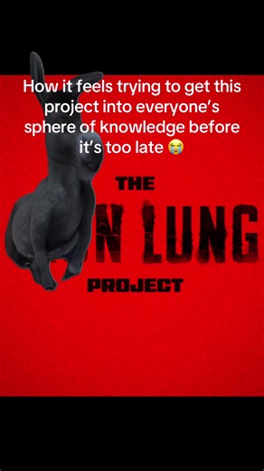 Raising Awareness for the Iron Lung Project
