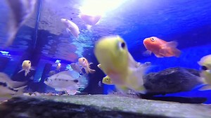 With years of experience in the industry, Uncle Bill's has earned a...